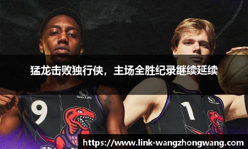 王中王资料大全