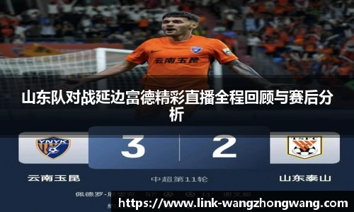 山东队对战延边富德精彩直播全程回顾与赛后分析